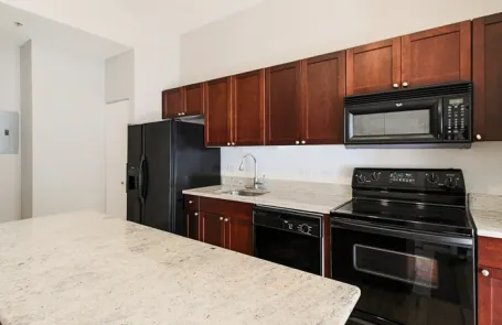 1 Bedroom Chicago Loop Apartment