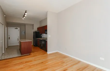 1 Bedroom Chicago Loop Apartment