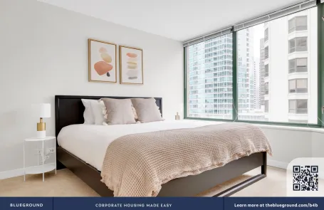 1 Bedroom Streeterville Apartment