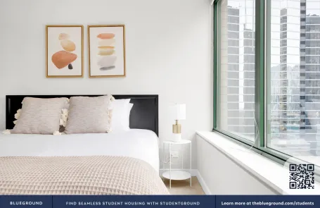 1 Bedroom Streeterville Apartment
