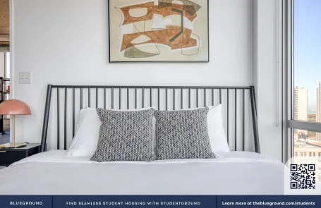 2 Bedroom South Loop Apartment