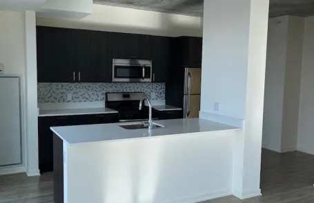 2 Bedroom South Loop Apartment