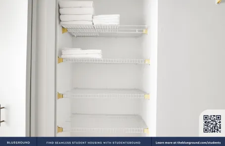 1 Bedroom Streeterville Apartment
