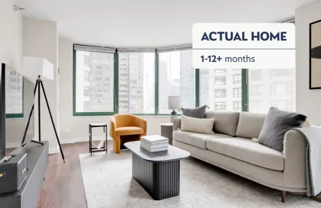1 Bedroom Streeterville Apartment