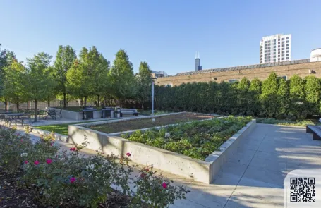 2 Bedroom South Loop Apartment