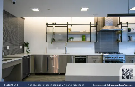 2 Bedroom South Loop Apartment