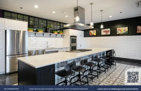 2 Bedroom South Loop Apartment