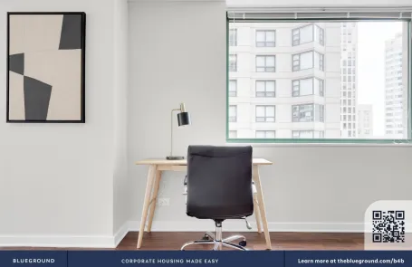 1 Bedroom Streeterville Apartment
