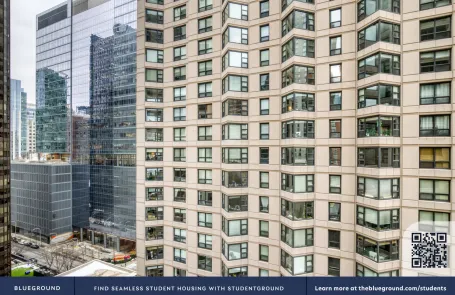 1 Bedroom Streeterville Apartment