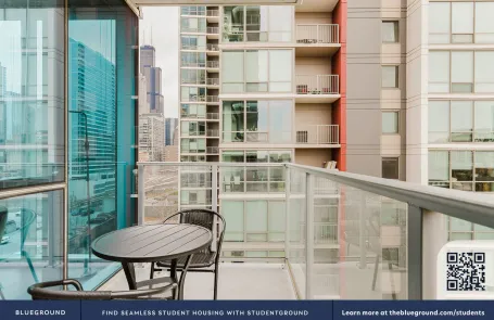 2 Bedroom South Loop Apartment