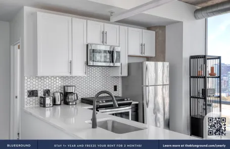 2 Bedroom South Loop Apartment