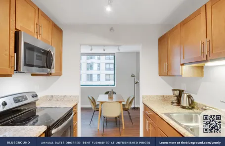 1 Bedroom Streeterville Apartment