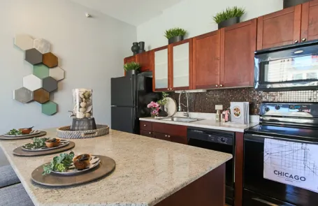 2 Bedroom Chicago Loop Apartment