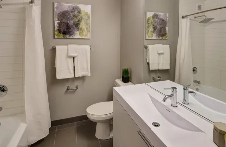 1 Bedroom Lincoln Park Apartment