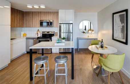 1 Bedroom Lincoln Park Apartment