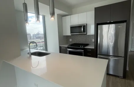 1 Bedroom South Loop Apartment