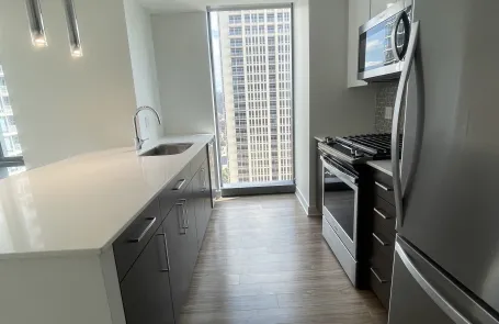 1 Bedroom South Loop Apartment