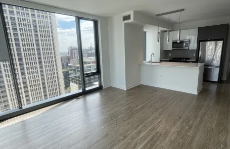 1 Bedroom South Loop Apartment