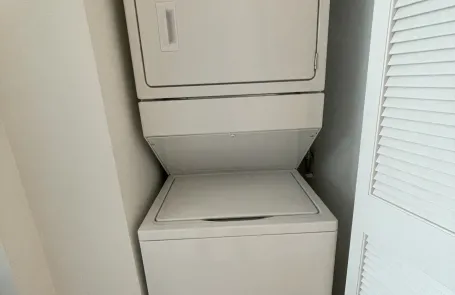 1 Bedroom South Loop Apartment