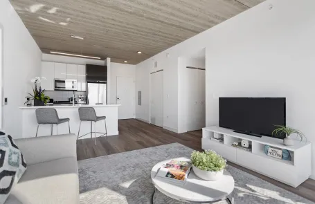 1 Bedroom Lakeview Apartment