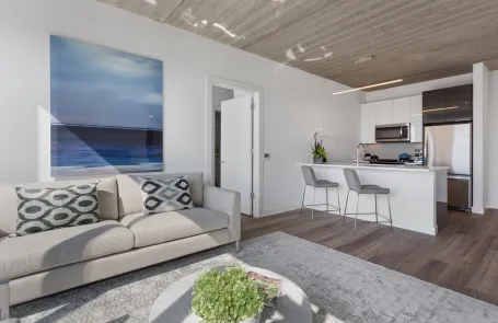 1 Bedroom Lakeview Apartment