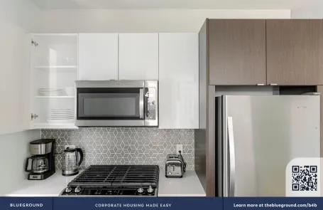 1 Bedroom South Loop Apartment