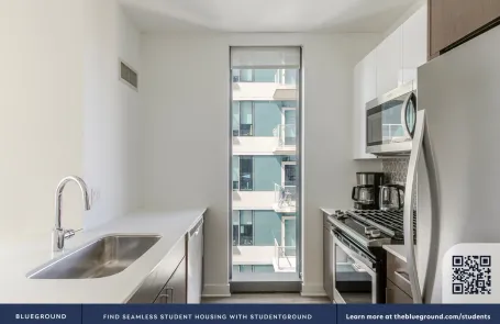1 Bedroom South Loop Apartment