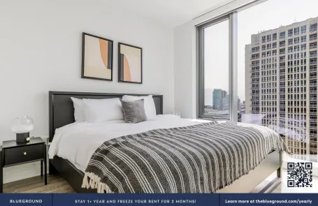 1 Bedroom South Loop Apartment