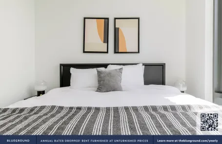 1 Bedroom South Loop Apartment
