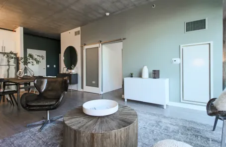 1 Bedroom South Loop Apartment