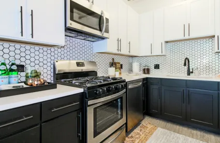 1 Bedroom South Loop Apartment