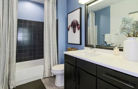 1 Bedroom South Loop Apartment