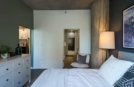1 Bedroom South Loop Apartment