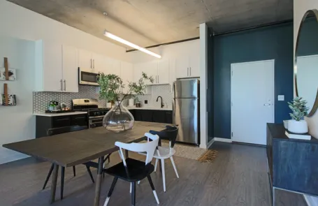 1 Bedroom South Loop Apartment