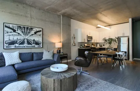 1 Bedroom South Loop Apartment