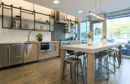 1 Bedroom South Loop Apartment