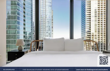 2 Bedroom South Loop Apartment