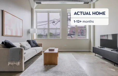 1 Bedroom West Loop Apartment