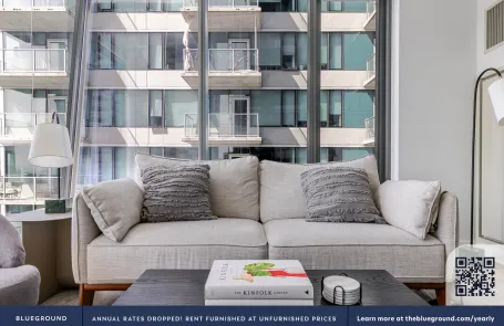 1 Bedroom South Loop Apartment