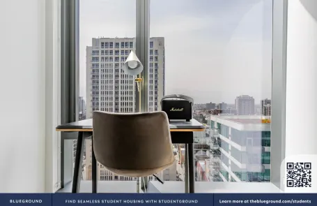 1 Bedroom South Loop Apartment