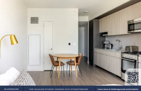 Studio South Loop Apartment