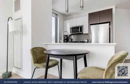 1 Bedroom South Loop Apartment
