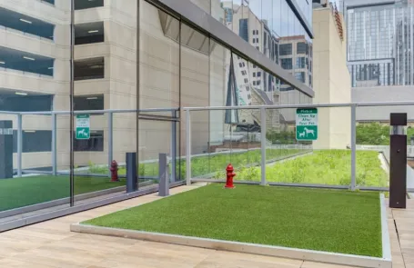 1 Bedroom River North Apartment