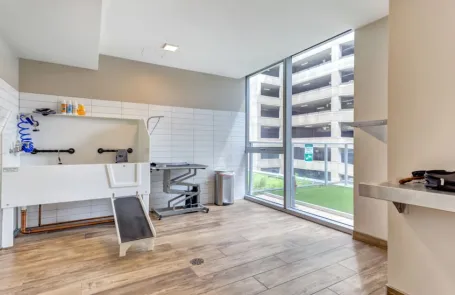1 Bedroom River North Apartment