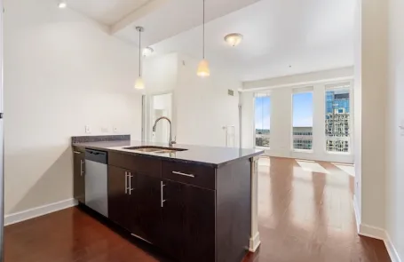 1 Bedroom South Loop Apartment