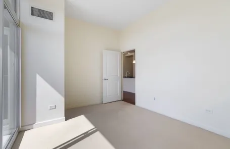 1 Bedroom South Loop Apartment