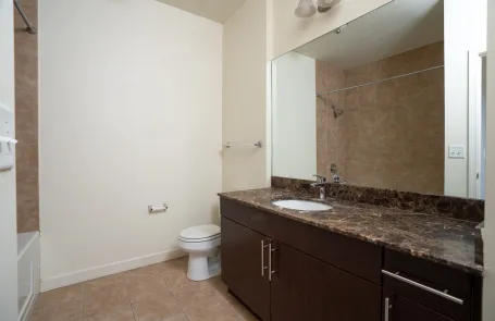 1 Bedroom South Loop Apartment