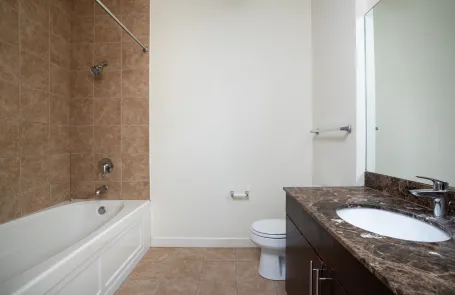 1 Bedroom South Loop Apartment