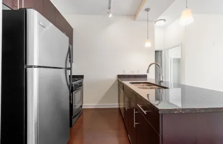1 Bedroom South Loop Apartment
