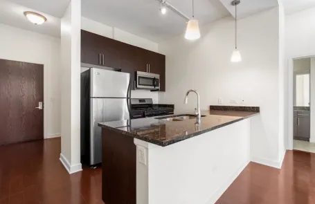 1 Bedroom South Loop Apartment
